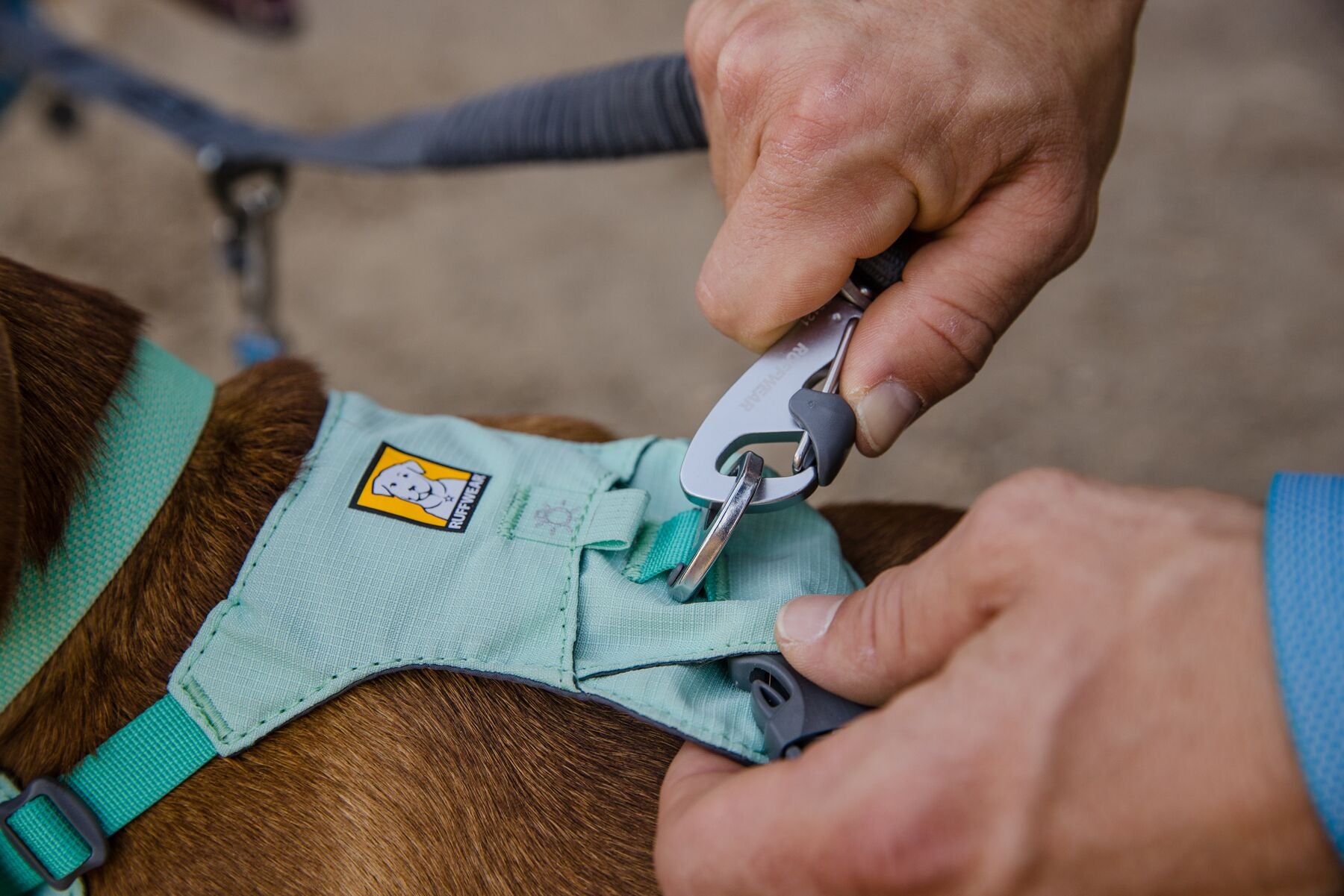 Ruffwear double hot sale track coupler