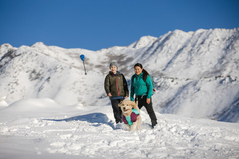 Ruffwear Huck a Cone