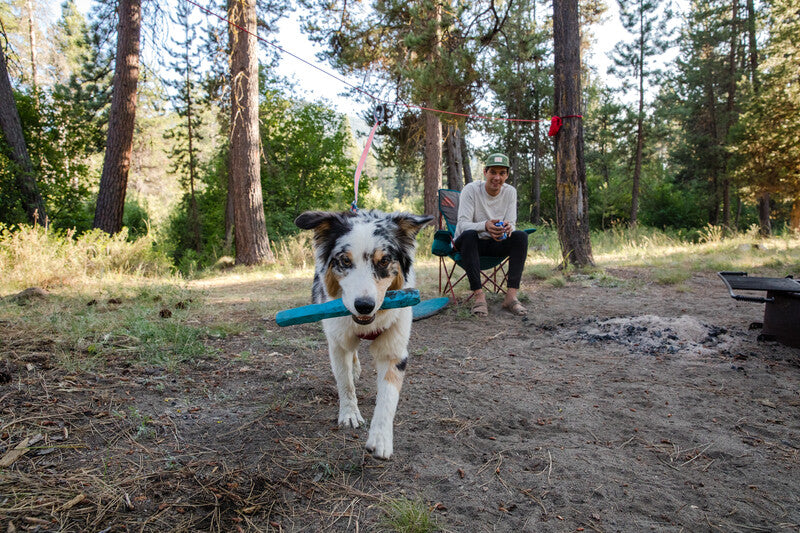 Ruffwear gnawt 2024 a stick