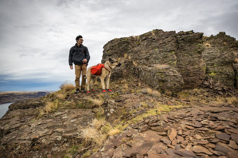 Palisades Pack Ruffwear Mountain Dog UK