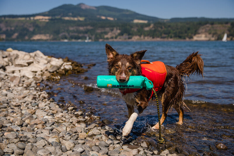 Float shop coat dog